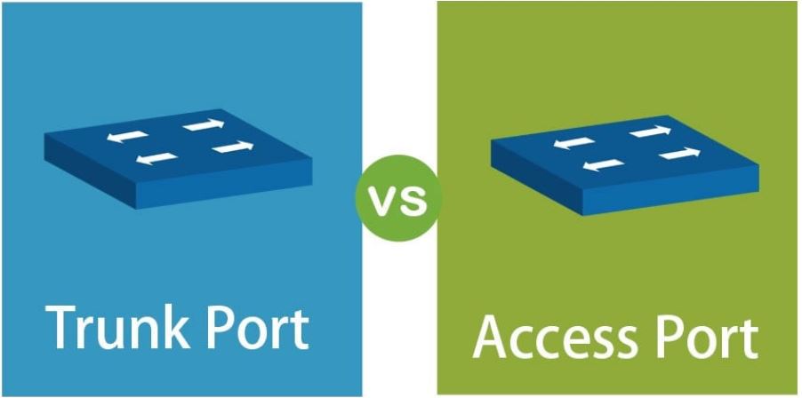 Access vs Trunk